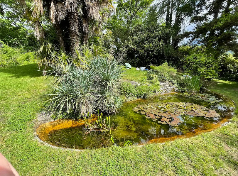 Jardin botanique de St-Triphon, Ollon, Switzerland, Switzerland